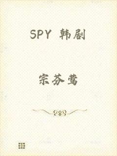 SPY 韩剧